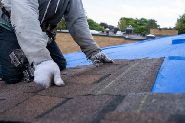Best Emergency Roof Repair  in St Maries, ID